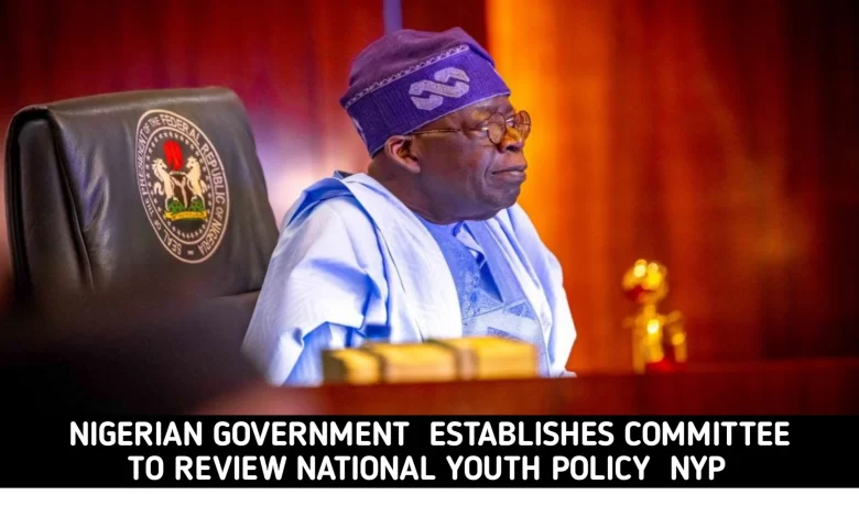 nigerian-government-established-committee-to-review-national-youth