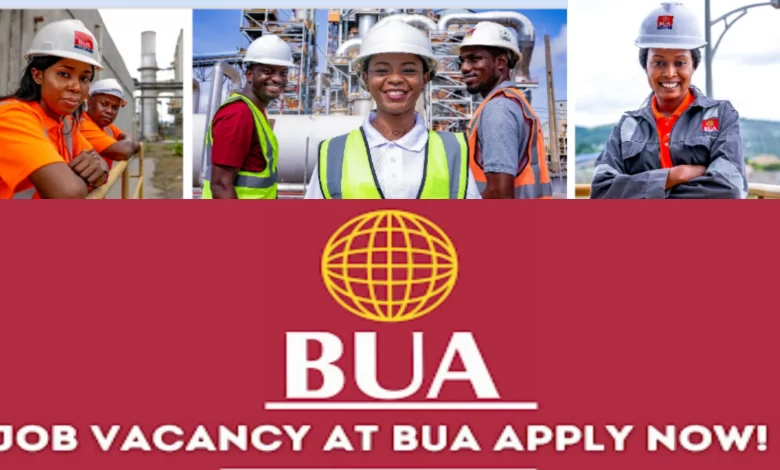 BUA Cement Job Vacancy