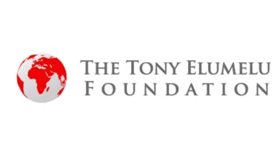 Tony Elumelu Foundation Application