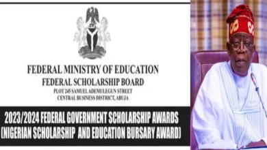 Nigerian Scholarship